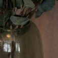 Vases en verre