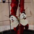 Globes papillons rouges et coraux