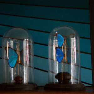 dealeuse-boutique-decoration-mobilier-vintage-paris-globe-globes-curiosites