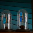 Globes papillons bleus