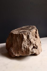 dealeuse-boutique-decoration-vintage-bois-petrifie-videpoche-paris-ancien