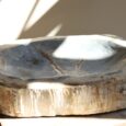 Coupe en bois pétrifié