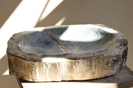 dealeuse-boutique-decoration-vintage-ancien-paris-coupe-bois-petrifie