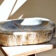 Coupe en bois pétrifié