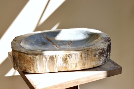 dealeuse-boutique-decoration-vintage-ancien-paris-coupe-bois-petrifie